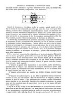 giornale/TO00191180/1888/unico/00000489