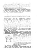 giornale/TO00191180/1893/unico/00000105