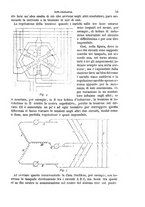 giornale/TO00191180/1894/unico/00000059