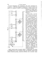 giornale/TO00191180/1896/unico/00000304