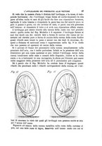 giornale/TO00191180/1897/unico/00000043