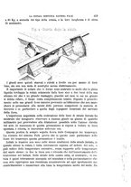 giornale/TO00191180/1897/unico/00000451