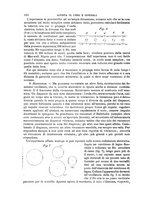 giornale/TO00191180/1897/unico/00000692