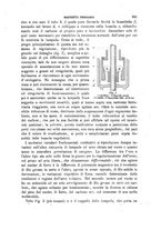 giornale/TO00191180/1898/unico/00000369