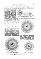 giornale/TO00191180/1898/unico/00000451