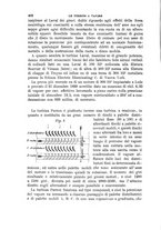 giornale/TO00191180/1900/unico/00000516