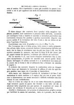 giornale/TO00191180/1901/unico/00000107