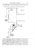 giornale/TO00191180/1901/unico/00000403