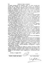 giornale/TO00191180/1901/unico/00000578