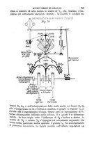 giornale/TO00191180/1901/unico/00000687