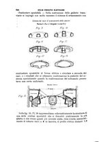 giornale/TO00191180/1904/unico/00000592