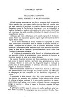 giornale/TO00191180/1904/unico/00000717