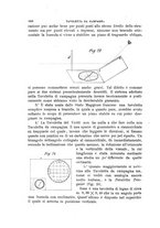 giornale/TO00191180/1904/unico/00000718