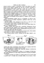 giornale/TO00191180/1905/unico/00000115