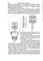 giornale/TO00191180/1905/unico/00000426