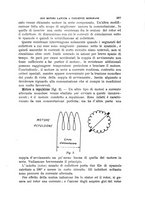 giornale/TO00191180/1905/unico/00000449