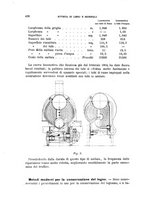 giornale/TO00191180/1905/unico/00000504