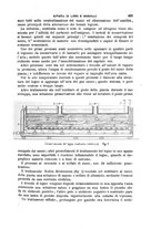 giornale/TO00191180/1905/unico/00000505