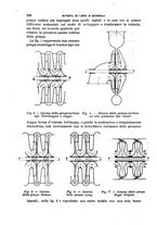 giornale/TO00191180/1905/unico/00000636