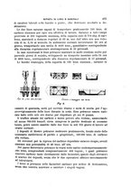 giornale/TO00191180/1905/unico/00000765