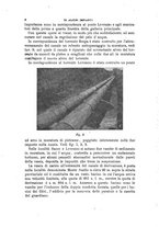 giornale/TO00191180/1906/unico/00000014