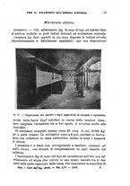 giornale/TO00191180/1906/unico/00000023