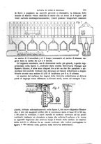 giornale/TO00191180/1906/unico/00000449