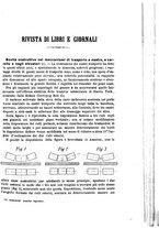 giornale/TO00191180/1906/unico/00000507