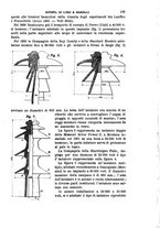 giornale/TO00191180/1907/unico/00000201