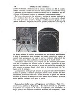 giornale/TO00191180/1907/unico/00000204