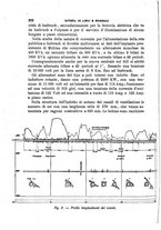 giornale/TO00191180/1907/unico/00000254