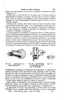 giornale/TO00191180/1907/unico/00000403