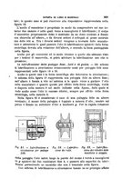 giornale/TO00191180/1907/unico/00000405