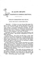 giornale/TO00191180/1907/unico/00000423