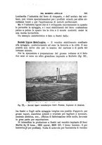 giornale/TO00191180/1908/unico/00000677