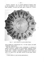 giornale/TO00191180/1910/unico/00000191