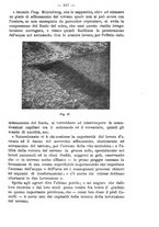 giornale/TO00191180/1914/unico/00000359