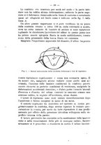 giornale/TO00191180/1915/unico/00000036