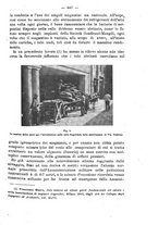 giornale/TO00191180/1917/unico/00000505