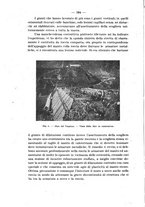 giornale/TO00191180/1921/unico/00000124