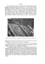 giornale/TO00191180/1921/unico/00000125