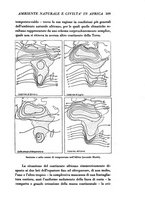 giornale/TO00191183/1938/unico/00000319