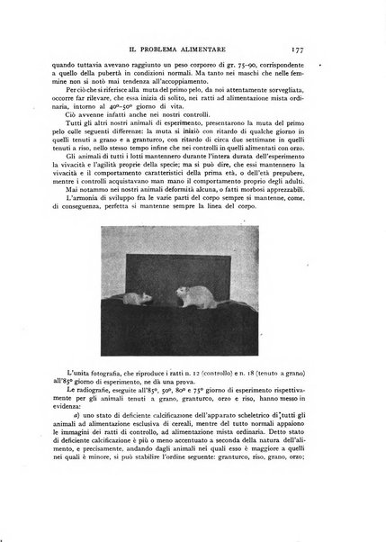 Il problema alimentare chimica, fisiologia, patologia, terapia