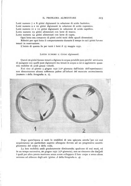 Il problema alimentare chimica, fisiologia, patologia, terapia