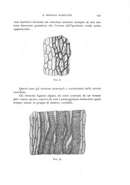 Il problema alimentare chimica, fisiologia, patologia, terapia