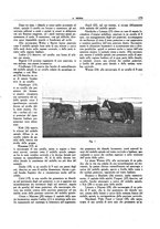 giornale/TO00191585/1939/unico/00000123