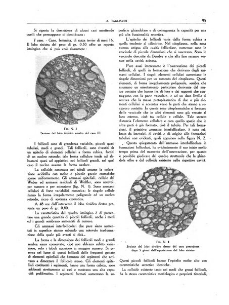 Profilassi sieri e vaccini in patologia comparata