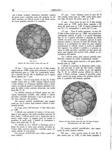 Profilassi sieri e vaccini in patologia comparata