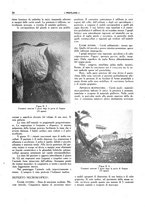 giornale/TO00191585/1942/unico/00000044