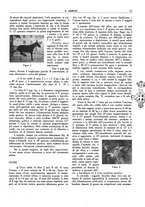 giornale/TO00191585/1942/unico/00000065